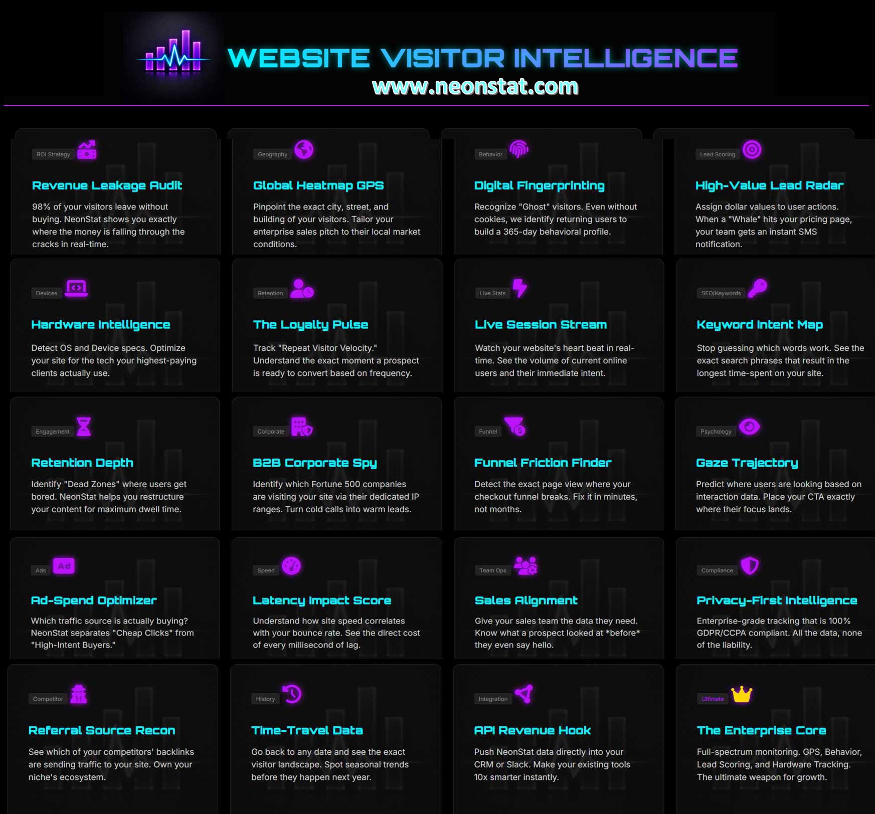 Why NeonStat | Real-Time Visitor Intelligence & B2B Lead Identification